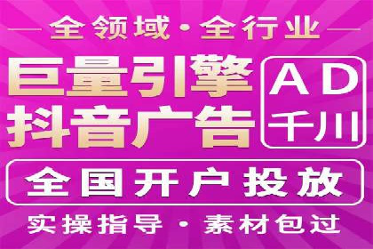 案例对比：SEO与SEM优化效果深度分析